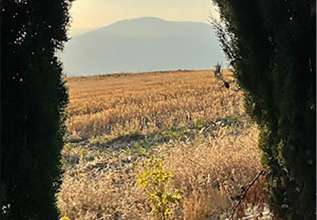 Molise, sapore di biodiversità e ruralità